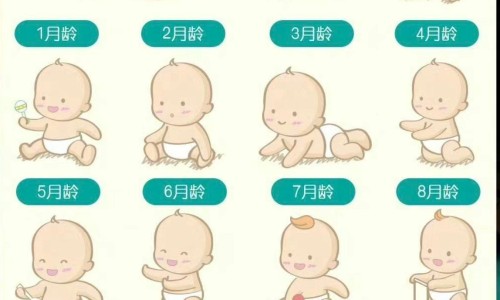 天津格林国际幼儿园学费-天津格林国际幼儿园学费-天津格林国际幼儿园学费,中国一皮草主治功能网站